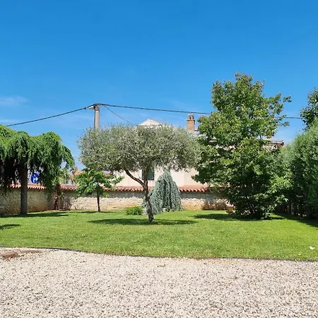 Dina Villa *
