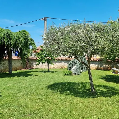 Dina Villa
